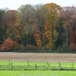 GPS: 50°48'46.2132" N 2°51'38.2068" E Altitude: 20,3 m -  -  -   -  -   -  -