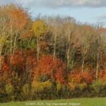 GPS: 50°50'54.96" N 2°58'54.4152" E Altitude: 47,3 m -  -  -   -  -   -  -