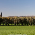 GPS: 50°45'30.0708" N 2°51'39.7152" E Altitude: 11,7 m -  -  -   -  -   -  -