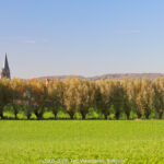 GPS: 50°45'30.0708" N 2°51'39.7152" E Altitude: 11,7 m -  -  -   -  -   -  -