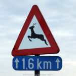 GPS: 50°47'26.034" N 2°46'24.384" E Altitude: 78,8 m -  -  -   -  -   -  -