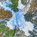 GPS:  Altitude:  -  -  -   -  -   -  -