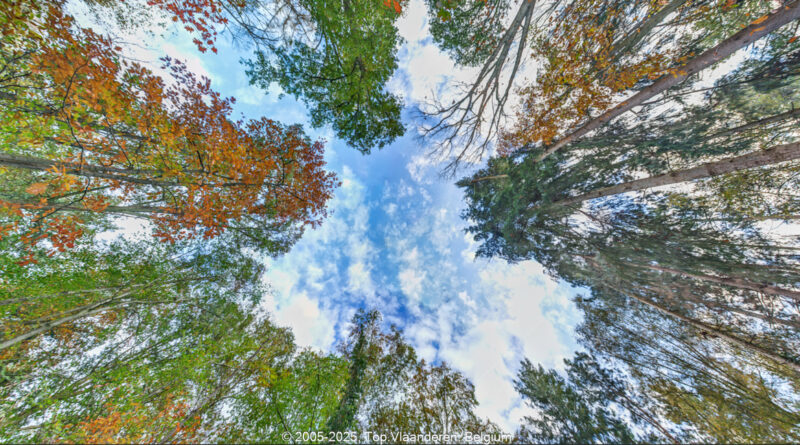 GPS:  Altitude:  -  -  -   -  -   -  -