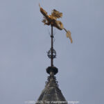 GPS: 50°51'4.374" N 2°53'9.834" E Altitude: 63,6 m -  -  -   -  -   -  -