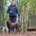 GPS: 50°46'45.6852" N 2°48'46.4832" E Altitude: 185,7 m - België -  -  Heuvelland -  -   -  -