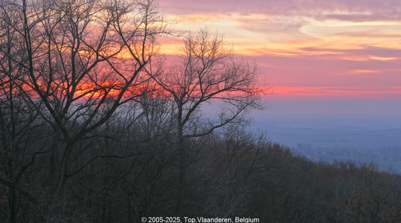 GPS: 50°46'41.6028" N 2°48'44.3592" E Altitude: 124,4 m - België -  -  Heuvelland -  -   -  -