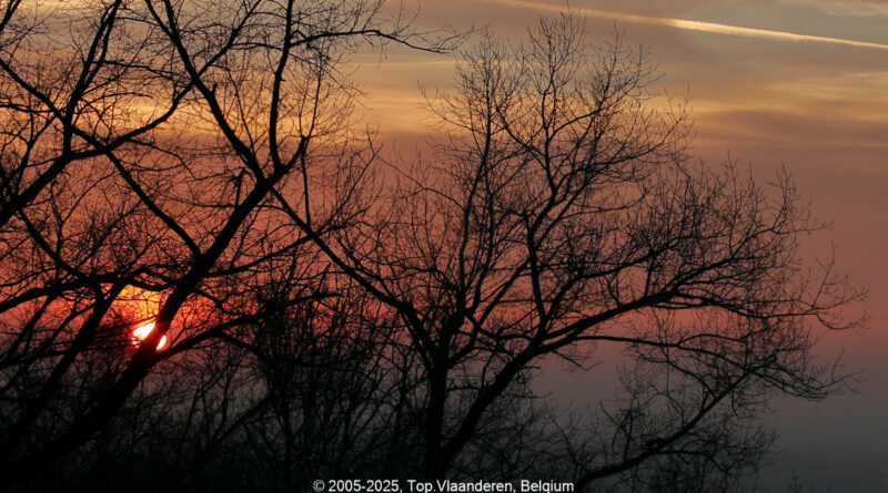 GPS: 50°46'41.4012" N 2°48'44.6652" E Altitude: 168,2 m - België -  -  Heuvelland -  -   -  -