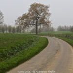 GPS: 50°45'38.4732" N 2°49'21.3132" E Altitude: 5,1 m -  -  -   -  -   -  -