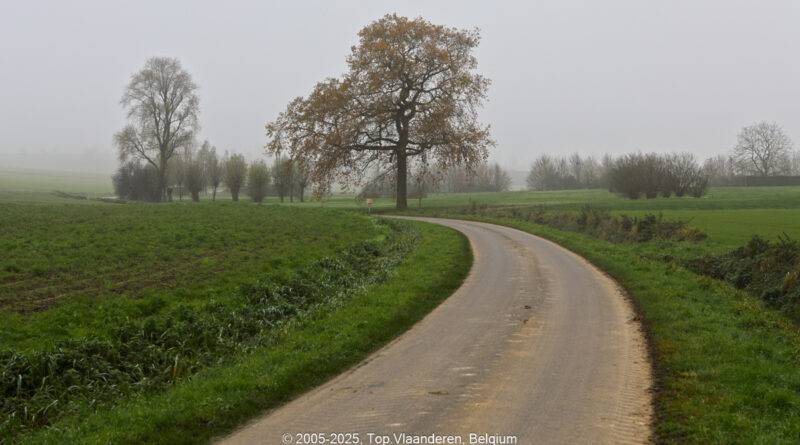GPS: 50°45'38.4732" N 2°49'21.3132" E Altitude: 5,1 m -  -  -   -  -   -  -