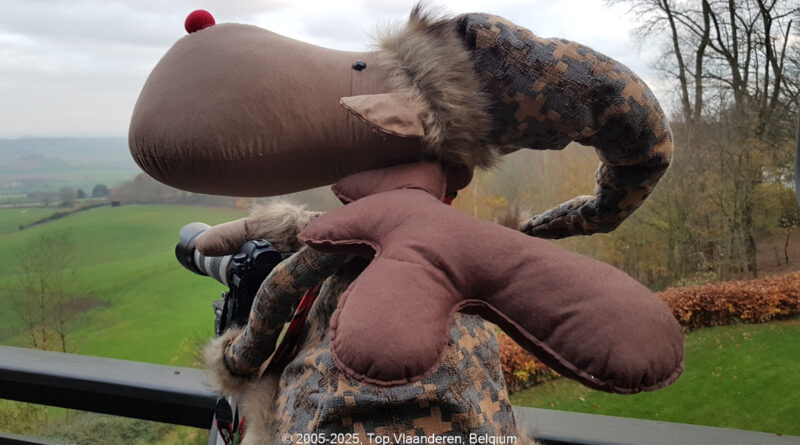 GPS: 50°46'41.0016" N 2°48'45" E Altitude: 214,0 m - België -  -  Heuvelland -  -   -  -