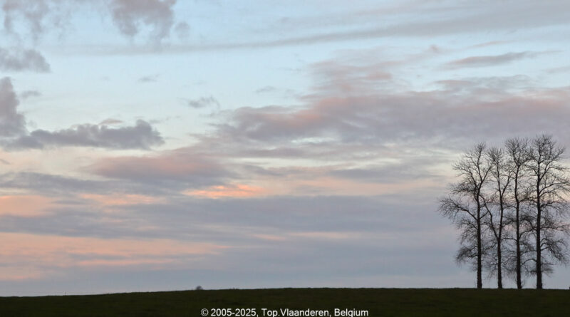 GPS: 50°44'31.0668" N 2°53'54.3228" E Altitude: 21,4 m -  -  -   -  -   -  -