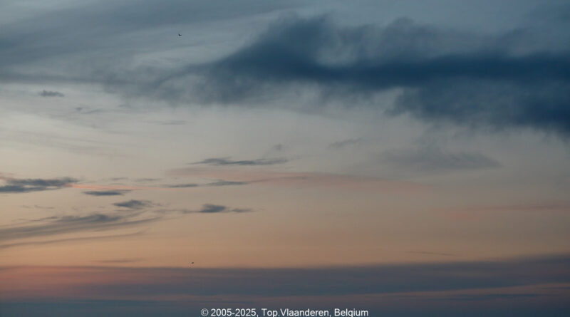 GPS: 50°46'41.61" N 2°48'46.0908" E Altitude: 138,7 m - België -  -  Heuvelland -  -   -  -