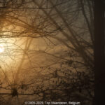 GPS: 50°46'42.546" N 2°48'41.94" E Altitude: 154,4 m - België -  -  Heuvelland -  -   -  -