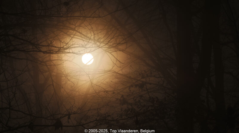 GPS: 50°46'42.546" N 2°48'41.94" E Altitude: 154,4 m - België -  -  Heuvelland -  -   -  -