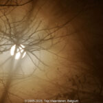 GPS: 50°46'42.2328" N 2°48'41.5908" E Altitude: 149,7 m - België -  -  Heuvelland -  -   -  -