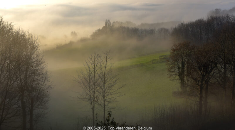 GPS: 50°46'41.2068" N 2°48'46.2708" E Altitude: 161,2 m - België -  -  Heuvelland -  -   -  -