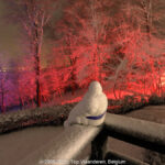 GPS: 50°46'41.2572" N 2°48'44.1972" E Altitude: 143,0 m - België -  -  Heuvelland -  -   -  -