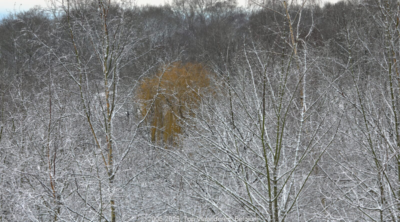 GPS: 50°46'41.3688" N 2°48'45.018" E Altitude: 142,4 m - België -  -  Heuvelland -  -   -  -