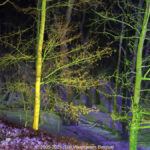 GPS: 50°46'42.9528" N 2°48'43.0272" E Altitude: -48,1 m - België -  -  Heuvelland -  -   -  -