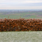 GPS: 50°46'41.7" N 2°48'45.4428" E Altitude: 145,8 m - België -  -  Heuvelland -  -   -  -