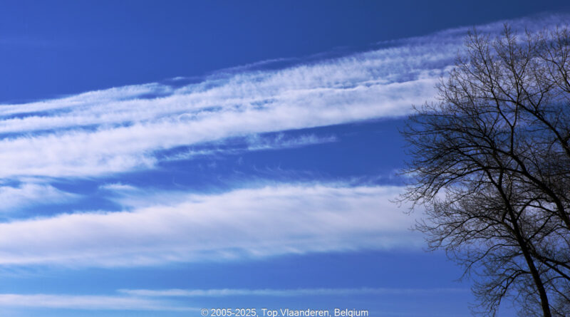 GPS:  Altitude:  -  -  -   -  -   -  -