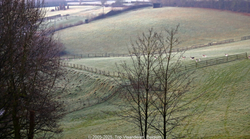 GPS: 50°46'41.2248" N 2°48'45.7128" E Altitude: 152,3 m - België -  -  Heuvelland -  -   -  -