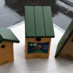 GPS: 50°46'39.4248" N 2°48'44.2152" E Altitude: 197,9 m - België -  -  Heuvelland -  -   -  -