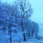GPS: 50°46'41.4588" N 2°48'46.5048" E Altitude: 9,7 m - België -  -  Heuvelland -  -   -  -