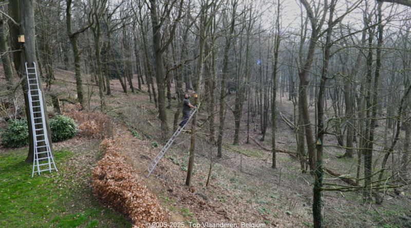 GPS: 50°46'39.9216" N 2°48'45.5868" E Altitude: 197,7 m - België -  -  Heuvelland -  -   -  -