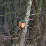 GPS: 50°46'41.4408" N 2°48'45.1728" E Altitude: 151,8 m - België -  -  Heuvelland -  -   -  -