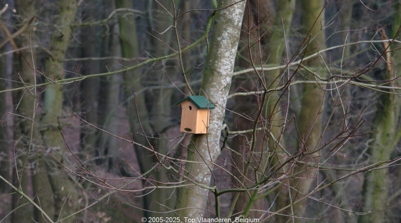 GPS: 50°46'41.4408" N 2°48'45.1728" E Altitude: 151,8 m - België -  -  Heuvelland -  -   -  -