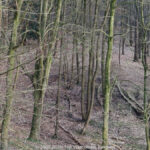 GPS: 50°46'41.106" N 2°48'45.7308" E Altitude: 180,1 m - België -  -  Heuvelland -  -   -  -