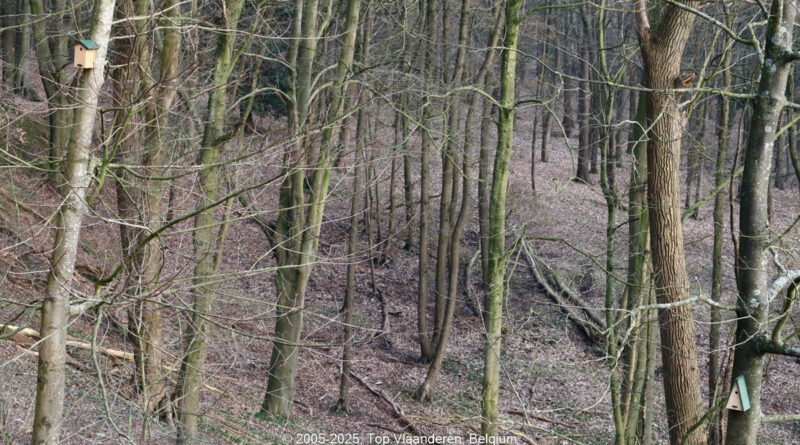 GPS: 50°46'41.106" N 2°48'45.7308" E Altitude: 180,1 m - België -  -  Heuvelland -  -   -  -
