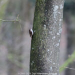 GPS: 50°46'41.5308" N 2°48'45.7488" E Altitude: 151,1 m - België -  -  Heuvelland -  -   -  -