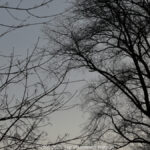 GPS: 50°46'41.736" N 2°48'45.4392" E Altitude: 170,9 m - België -  -  Heuvelland -  -   -  -