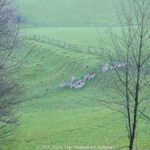 GPS: 50°46'41.646" N 2°48'44.874" E Altitude: 182,6 m - België -  -  Heuvelland -  -   -  -