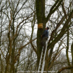 GPS: 50°46'40.7568" N 2°48'47.2032" E Altitude: 148,7 m - België -  -  Heuvelland -  -   -  -
