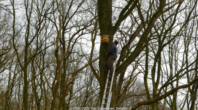 GPS: 50°46'40.7568" N 2°48'47.2032" E Altitude: 148,7 m - België -  -  Heuvelland -  -   -  -