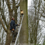 GPS: 50°46'41.8728" N 2°48'45.036" E Altitude: 145,5 m - België -  -  Heuvelland -  -   -  -