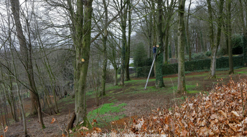 GPS: 50°46'41.2428" N 2°48'44.082" E Altitude: 145,1 m - België -  -  Heuvelland -  -   -  -