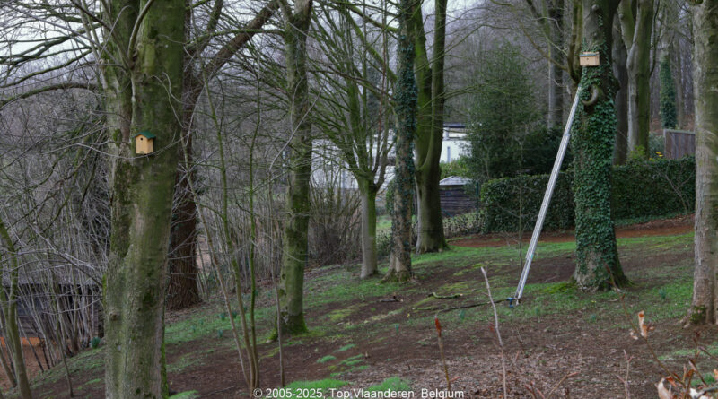 GPS: 50°46'40.62" N 2°48'44.316" E Altitude: 155,9 m - België -  -  Heuvelland -  -   -  -