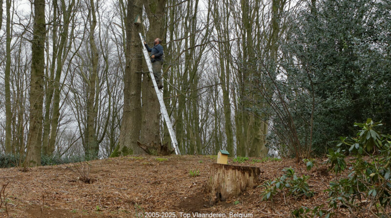GPS: 50°46'42.5172" N 2°48'43.002" E Altitude: 157,5 m - België -  -  Heuvelland -  -   -  -