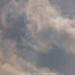 GPS: 50°46'42.1752" N 2°48'46.4652" E Altitude: 115,7 m - België -  -  Heuvelland -  -   -  -