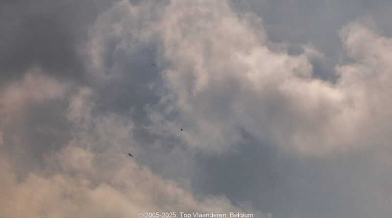 GPS: 50°46'42.1752" N 2°48'46.4652" E Altitude: 115,7 m - België -  -  Heuvelland -  -   -  -
