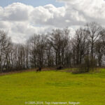 GPS: 50°46'36.3" N 2°48'36.9" E Altitude: 101,4 m -  -  -   -  -   -  -