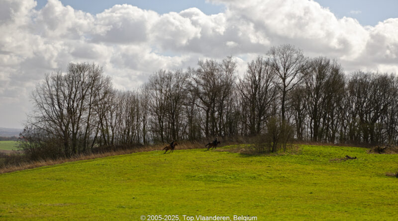 GPS: 50°46'36.3" N 2°48'36.9" E Altitude: 101,4 m -  -  -   -  -   -  -