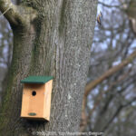 GPS: 50°46'40.278" N 2°48'51.8868" E Altitude: 352,5 m - België -  -  Heuvelland -  -   -  -