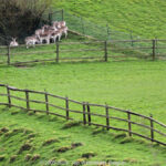 GPS: 50°46'41.2248" N 2°48'44.7228" E Altitude: 154,9 m - België -  -  Heuvelland -  -   -  -