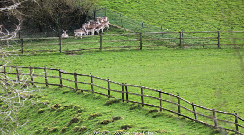 GPS: 50°46'41.2248" N 2°48'44.7228" E Altitude: 154,9 m - België -  -  Heuvelland -  -   -  -