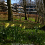 GPS: 50°46'39.7092" N 2°48'42.4548" E Altitude: 68,8 m - België -  -  Heuvelland -  -   -  -